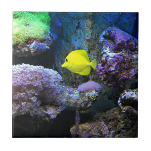 Yellow Angelfish Tile