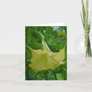Yellow Angel's Trumpet Note Card