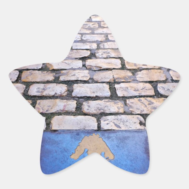 Yellow arrow star sticker (Front)