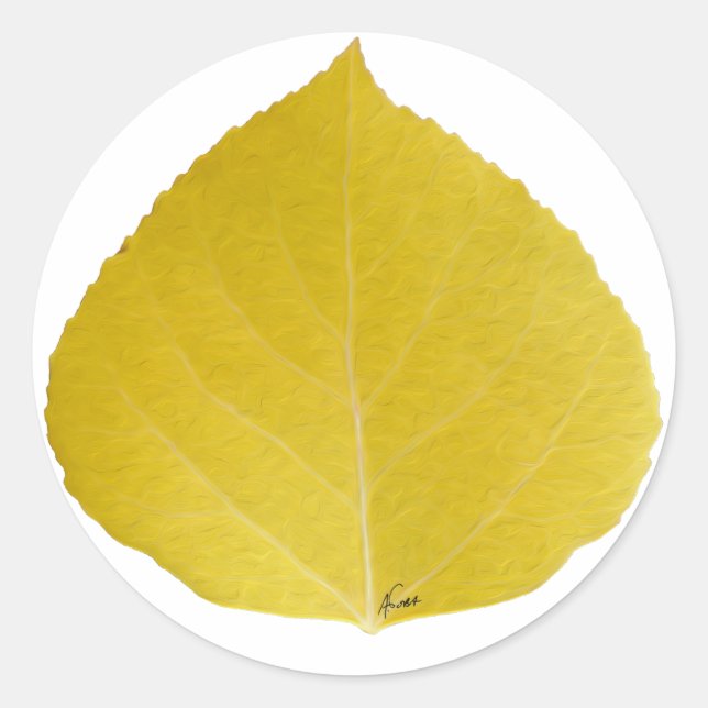 Yellow Aspen Leaf #5 Classic Round Sticker (Front)