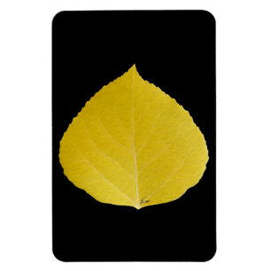 Yellow Aspen Leaf #5 Magnet