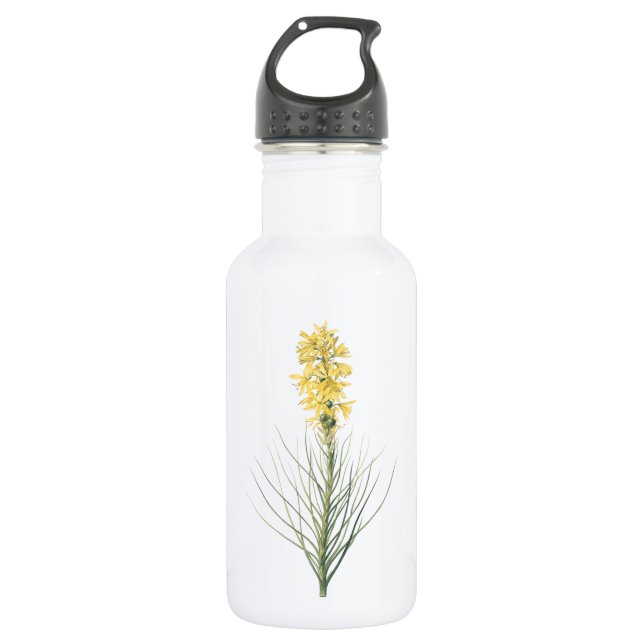 yellow asphodel(Asphodelus luteus) by Redouté 532 Ml Water Bottle (Front)