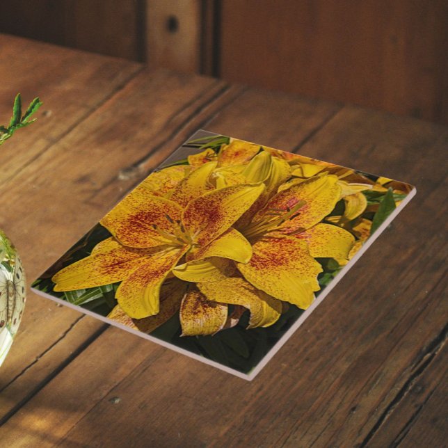 Yellow Astiatic Lily Blooms Floral Ceramic Tile (In Situ)
