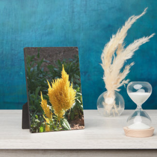 Yellow Astilbe flower Plaque