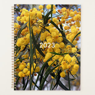 Yellow Australian wattle tree blossoms Planner