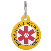 Yellow Autism Service Dog In Training