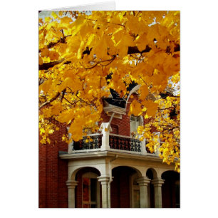 Yellow Autumn Leaves and Old Brick House