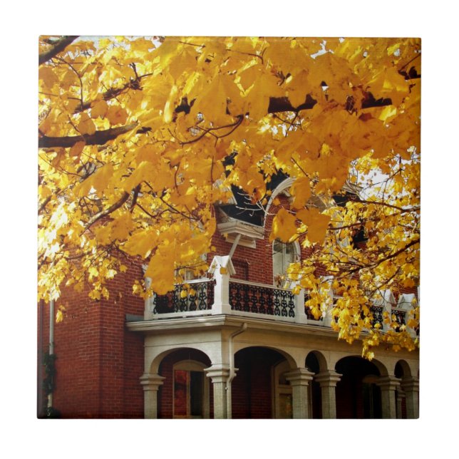 Yellow Autumn Leaves and Old Brick House Tile (Front)