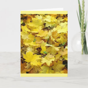Yellow Autumn Leaves Card