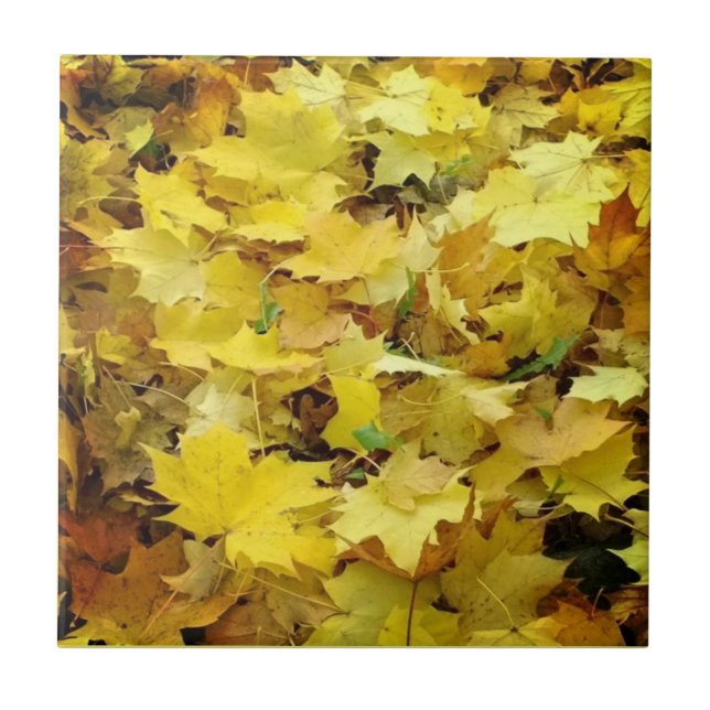 Yellow Autumn Leaves Ceramic Tile (Front)