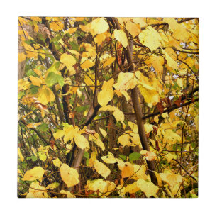 YELLOW AUTUMN LEAVES CERAMIC TILE