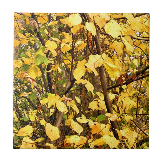 YELLOW AUTUMN LEAVES CERAMIC TILE (Front)