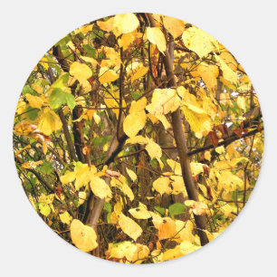 YELLOW AUTUMN LEAVES CLASSIC ROUND STICKER