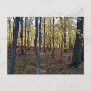 Yellow Autumn Postcard