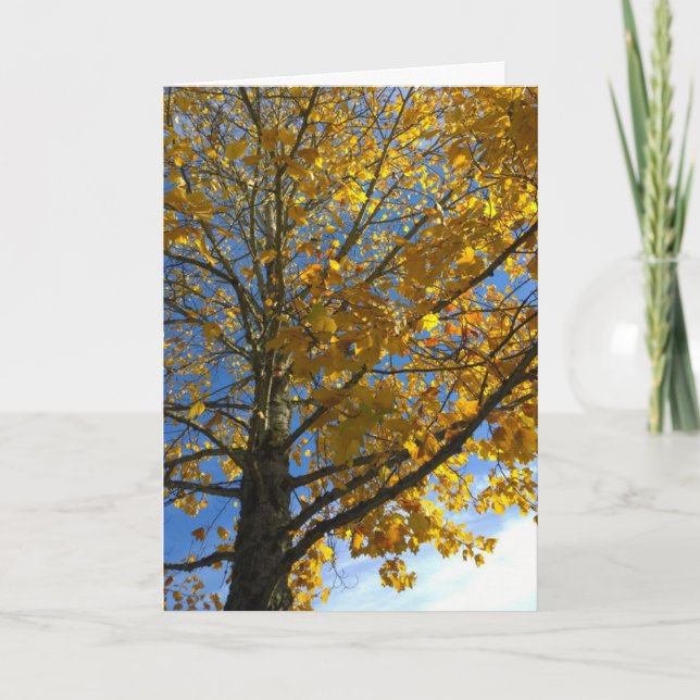 Yellow Autumn Tree Card (Front)