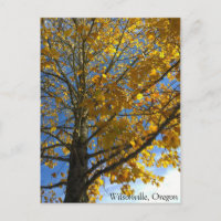 Yellow Autumn Tree