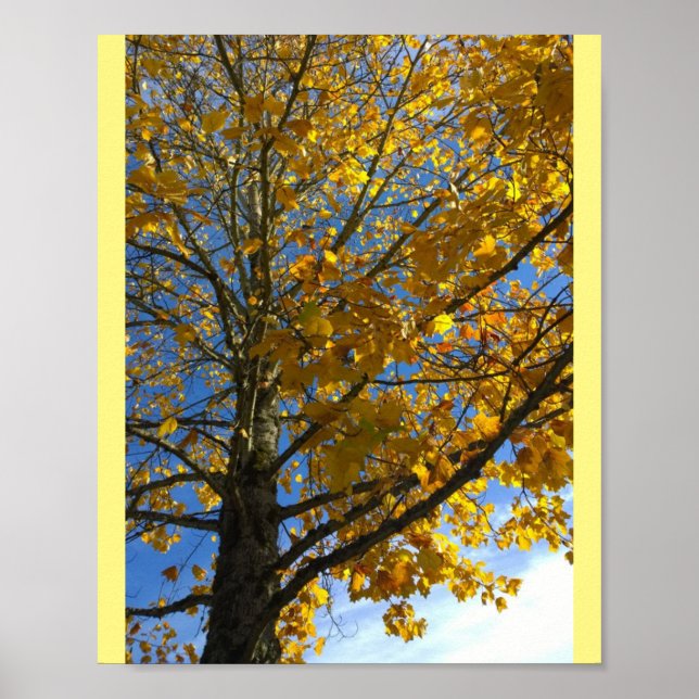 Yellow Autumn Tree Poster (Front)