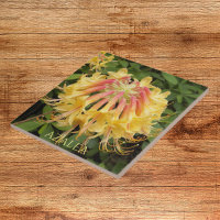 Yellow Azalea Blooms Floral