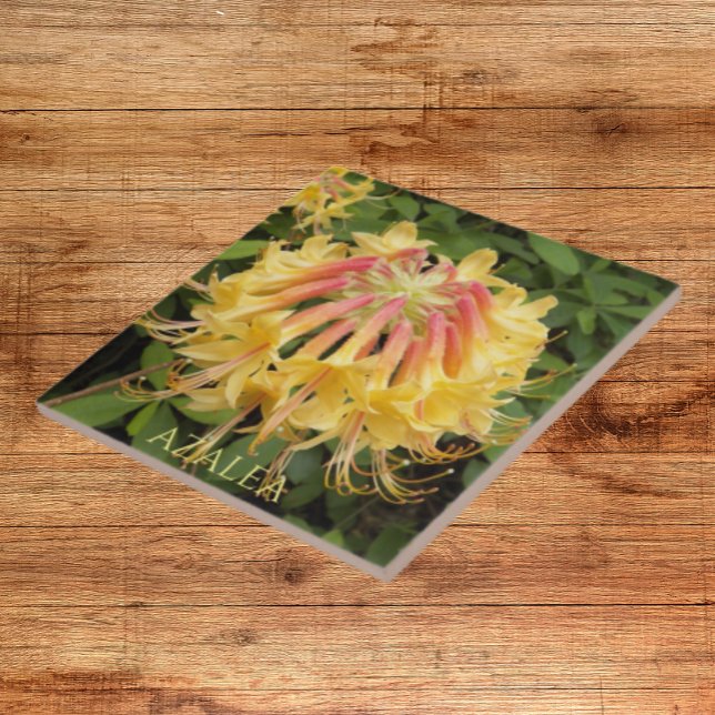 Yellow Azalea Blooms Floral Ceramic Tile (In Situ)