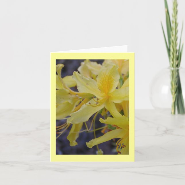 Yellow Azalea flower greeting card (Front)
