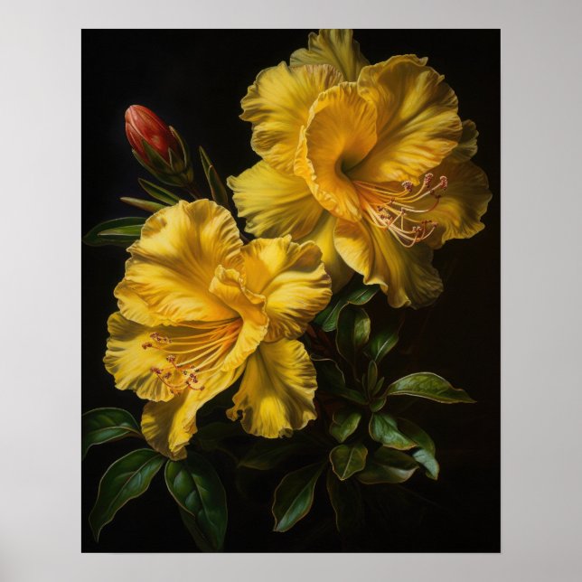 Yellow Azalea Flowers Art Print Poster (Front)