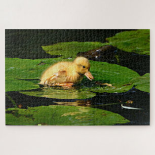 Yellow Baby Duck Floating on Lily Pads Jigsaw Puzzle