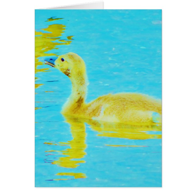 Yellow Baby goose with light blue water (Front)