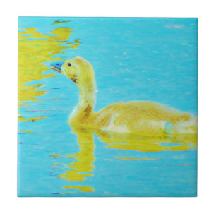 Yellow Baby goose with light blue water Ceramic Tile