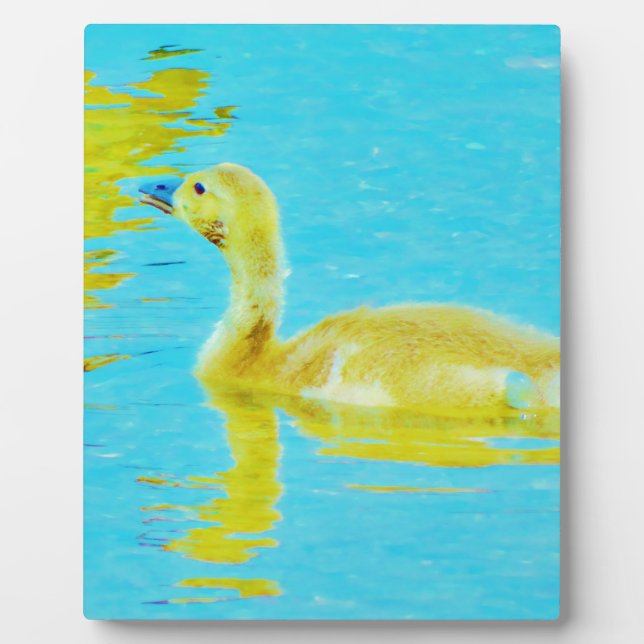 Yellow Baby goose with light blue water Plaque (Front)