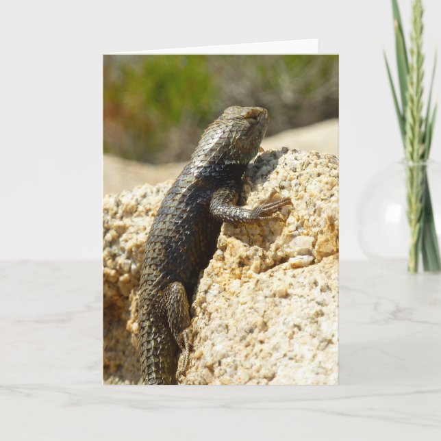 Yellow-Backed Spiny Lizard at Joshua Tree Card (Front)