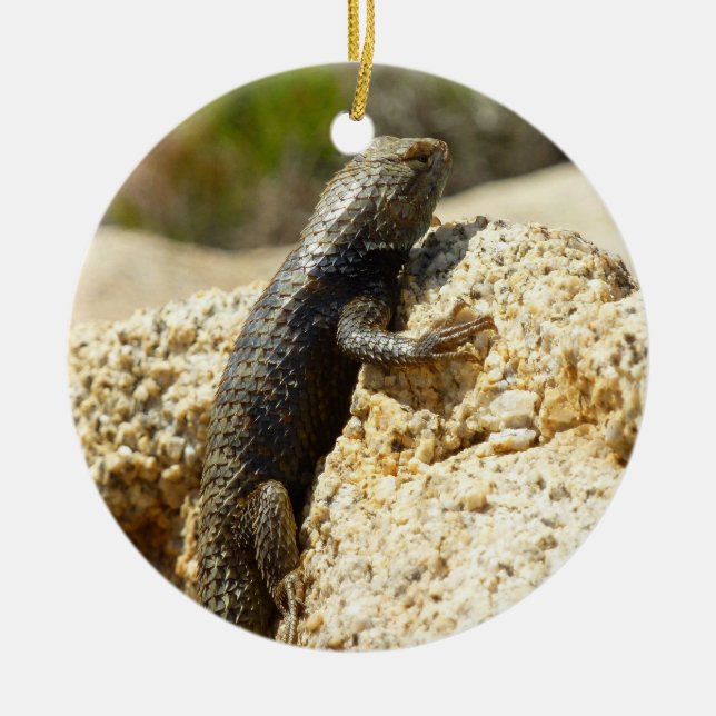 Yellow-Backed Spiny Lizard at Joshua Tree Ceramic Ornament (Front)