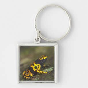 Yellow-banded Poison Dart Frog Dendrobates Key Ring