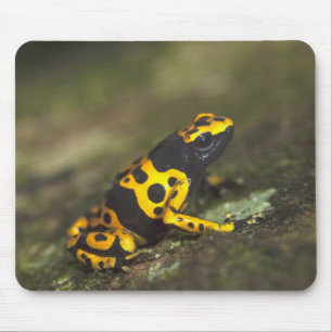 Yellow-banded Poison Dart Frog Dendrobates Mouse Pad