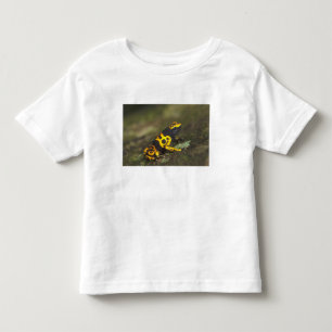 Yellow-banded Poison Dart Frog Dendrobates Toddler T-Shirt