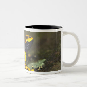 Yellow-banded Poison Dart Frog Dendrobates Two-Tone Coffee Mug