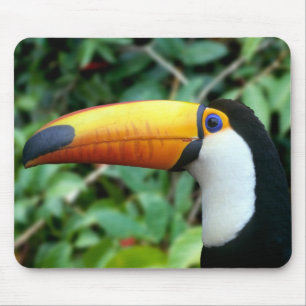 Yellow Beaked Toucan Mouse Pad