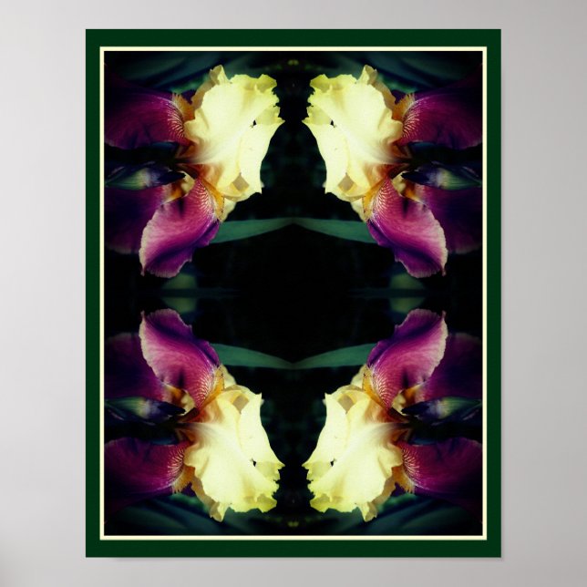Yellow Bearded Iris Flower Abstract Poster (Front)