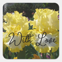 Yellow Bearded Iris Irises Flowers floral Love
