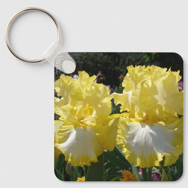 Yellow Bearded Iris Irises Flowers floral Poster Key Ring (Front)