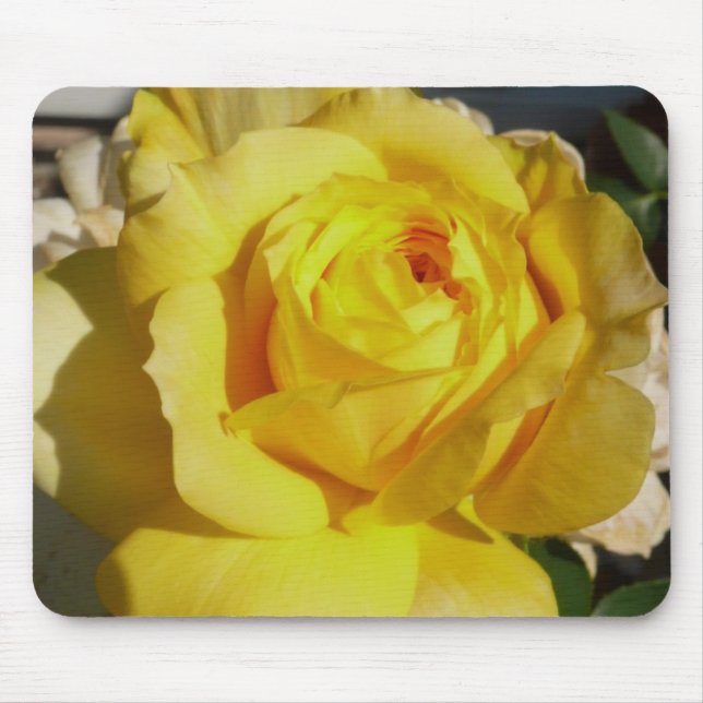 Yellow Beauty Rose Mousepad (Front)