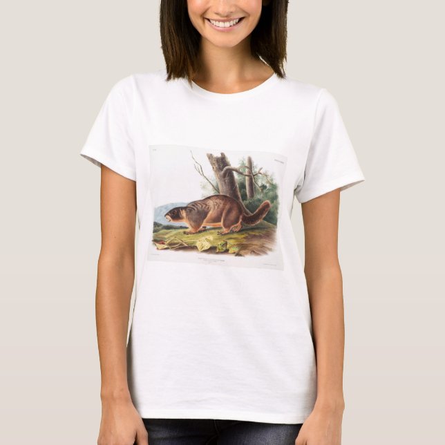 Yellow-bellied Marmot Animal T-Shirt (Front)