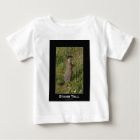Yellow-Bellied Marmot Gifts