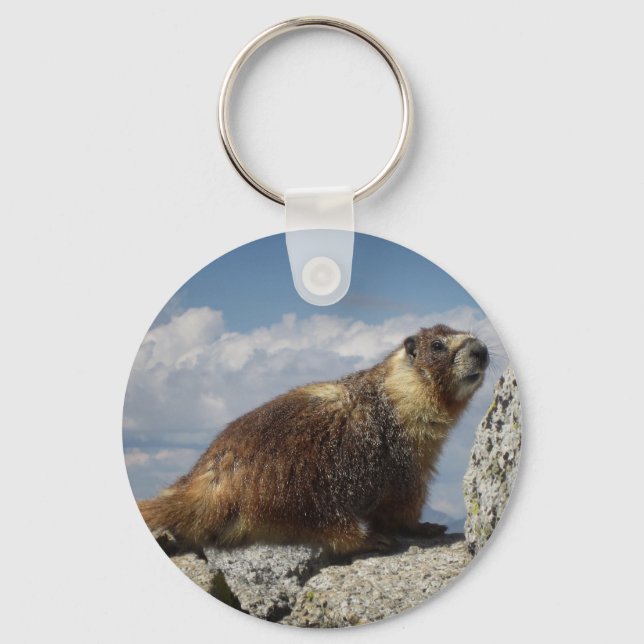 Yellow Bellied Marmot in Yosemite Key Ring (Front)