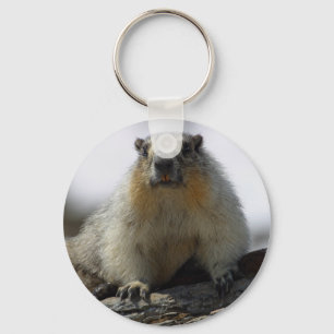 Yellow Bellied Marmot Key Ring