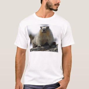 Yellow Bellied Marmot T-Shirt