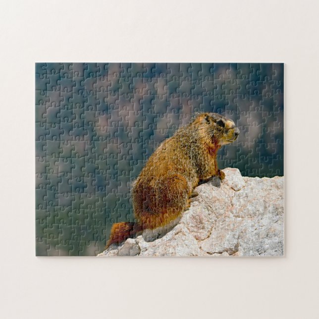 Yellow Bellied Marmot Utah. Jigsaw Puzzle (Horizontal)