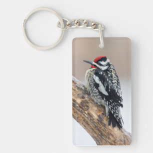 Yellow-bellied Sapsucker male Key Ring
