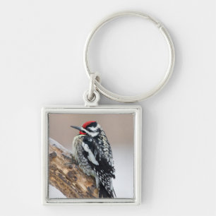 Yellow-bellied Sapsucker male Key Ring