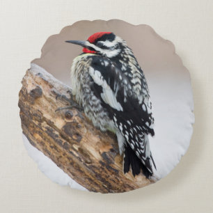 Yellow-bellied Sapsucker male Round Cushion