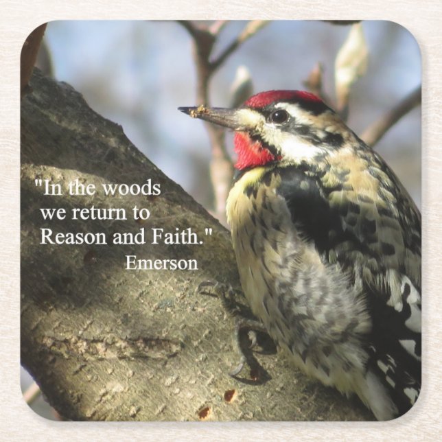 Yellow-bellied Sapsucker Meditation Coaster Set. (Front)